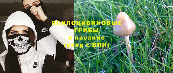 Альфа ПВП Покров