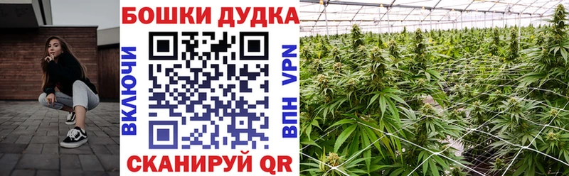 гидра   Высоковск  Бошки Шишки гибрид  где продают наркотики 